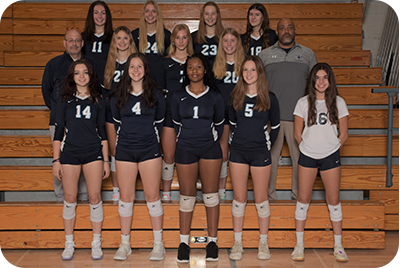 Varsity Girls Volleyball Team Picture